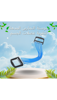 سوستة التمارين المذهلة لتقوية عضلات الجسم
